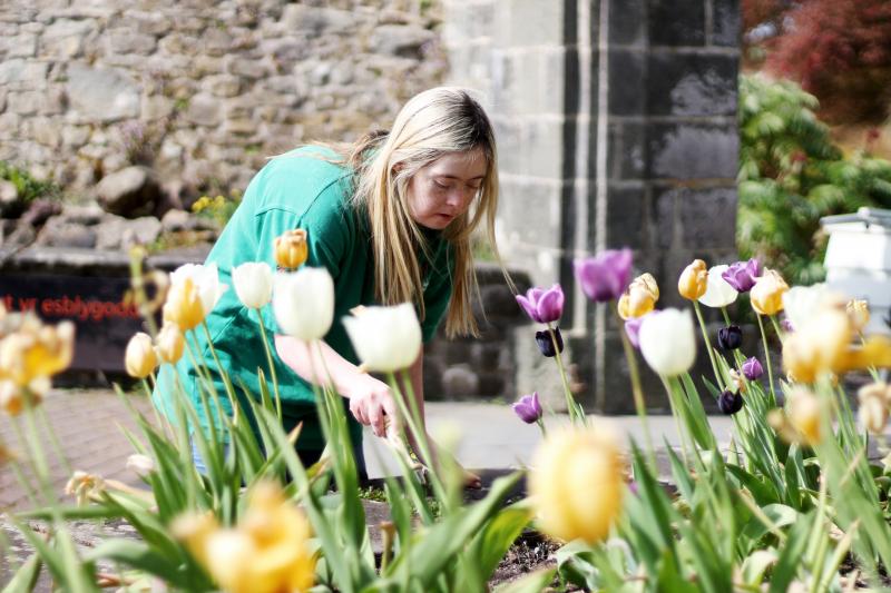 A young woman tending to a flower bed of tulips